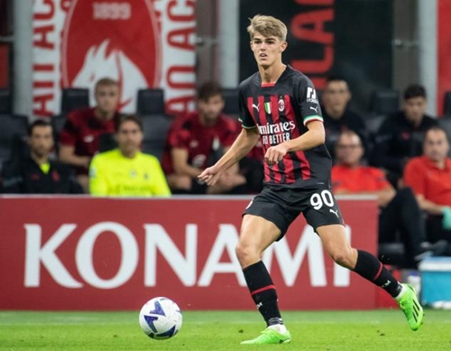 李金羽与球 李金羽与球