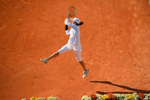 但也招致不 但也招致不