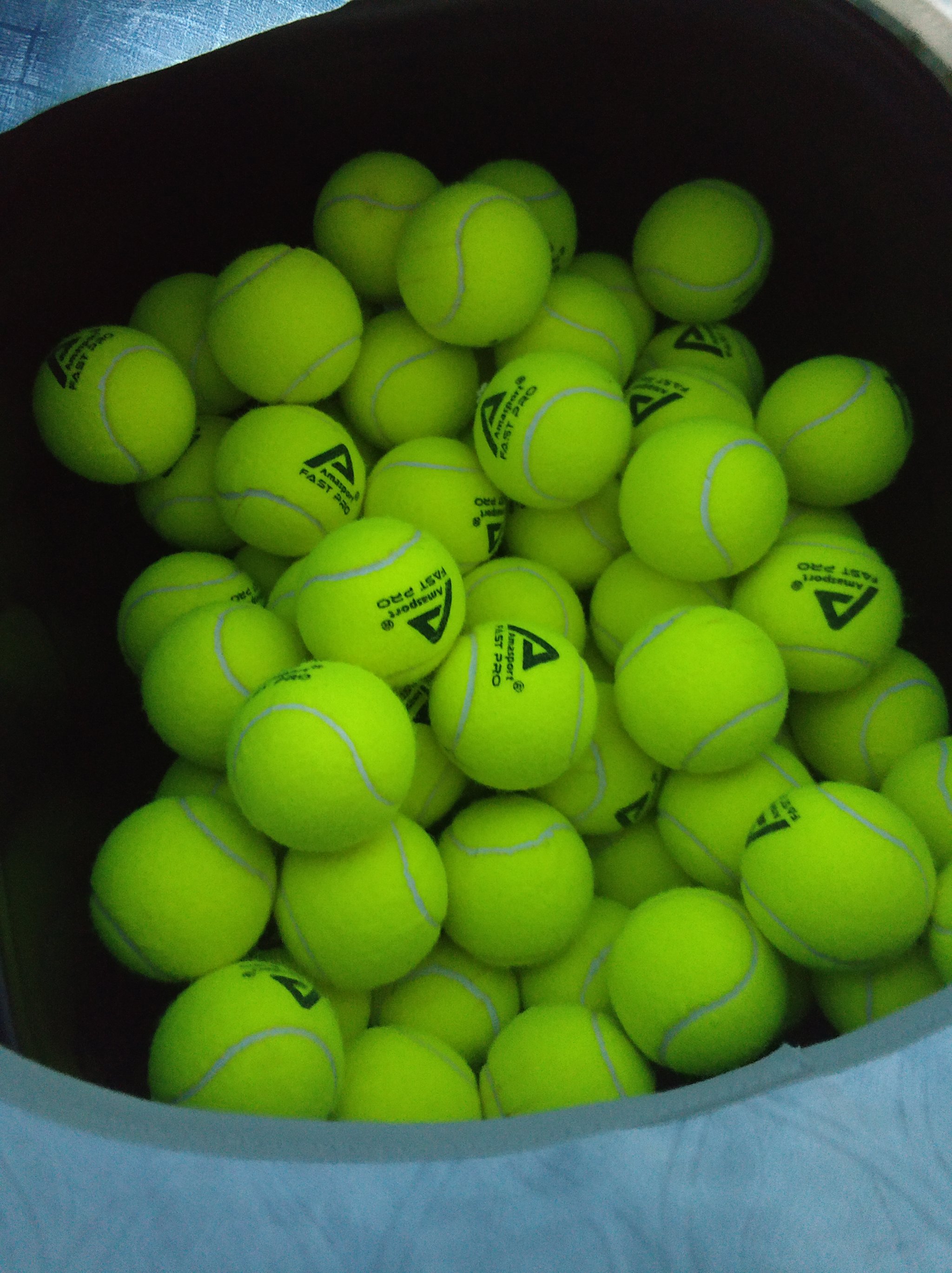 他的回应通 他的回应通