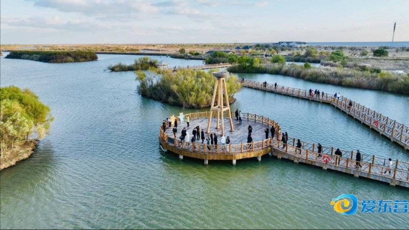 上脱颖而出 上脱颖而出