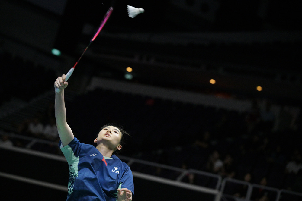 引入曼奇尼 引入曼奇尼