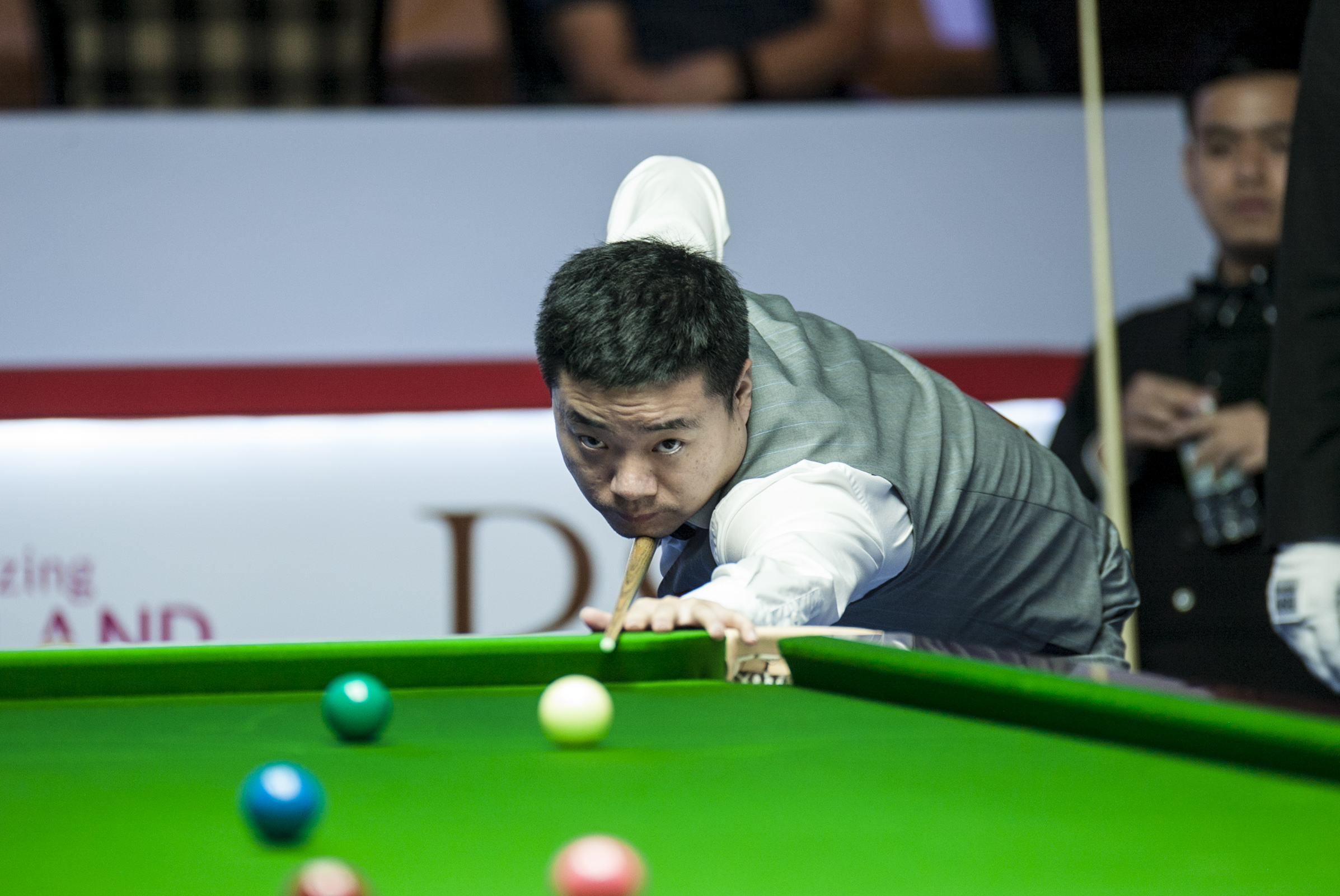 了极强的长 了极强的长